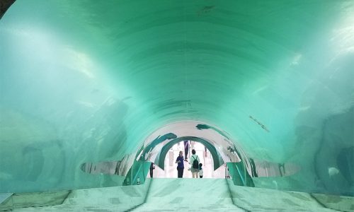 Великі акваріумні системи